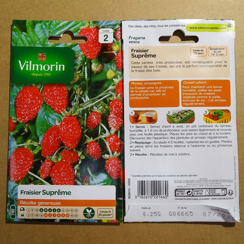 Example of Fragaria vesca 'Four Seasons Supreme' per 0.25 g seed pack specimen as delivered