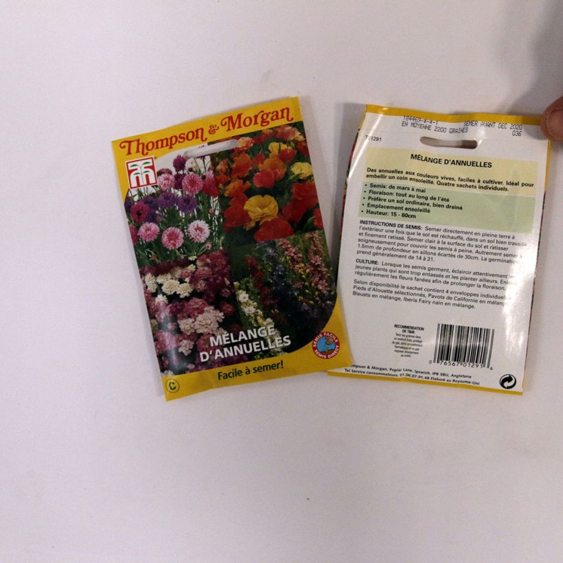 Example of Mix of annuals Seeds - Easy Annuals Fairy Mixed specimen as delivered