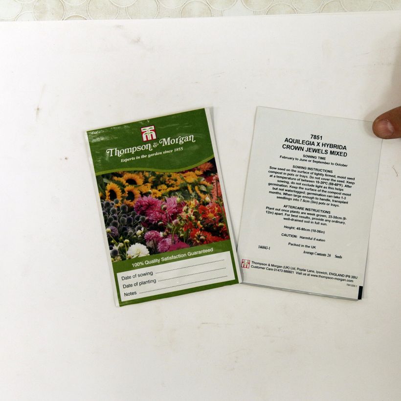 Example of Aquilegia Crown Jewels Mix Seeds - Columbine per pack of 20 seeds specimen as delivered
