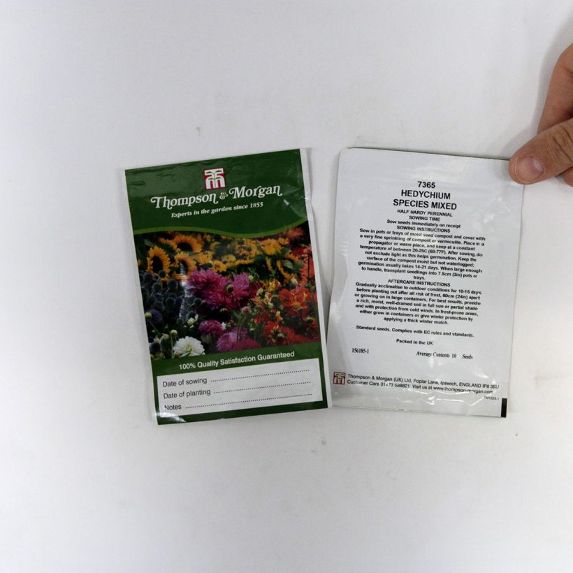Example of Hedychium gardnerianum Species Mixed Seeds specimen as delivered