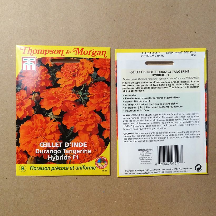 Example of French Marigold Durango Tangerine Seeds - Tagetes patula specimen as delivered