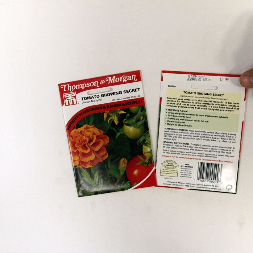 Example of French Marigold Tomato Growing Secret Seeds - Tagetes patula specimen as delivered