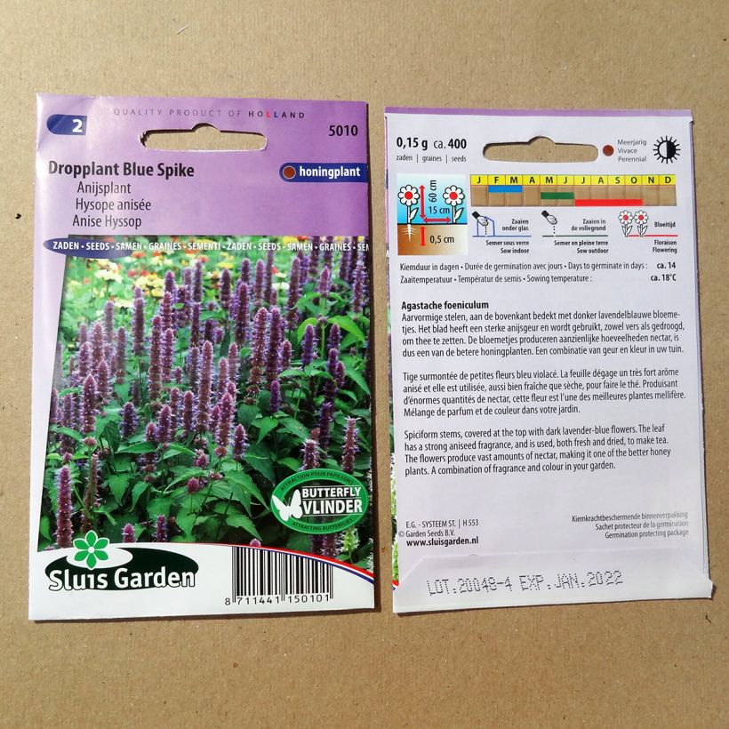 Example of Agastache foeniculum Blue Spike - Anise Hyssop per 0.15 g seed pack specimen as delivered