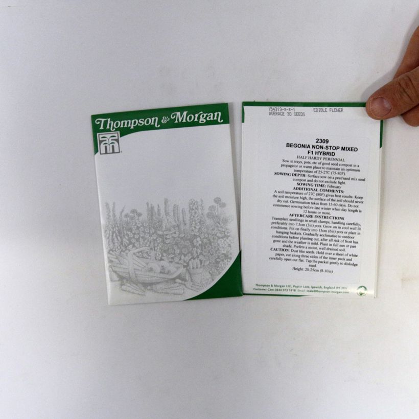 Example of Tuberous Begonia Non-Stop Mixed F1 Seeds per pack of 40 seeds specimen as delivered