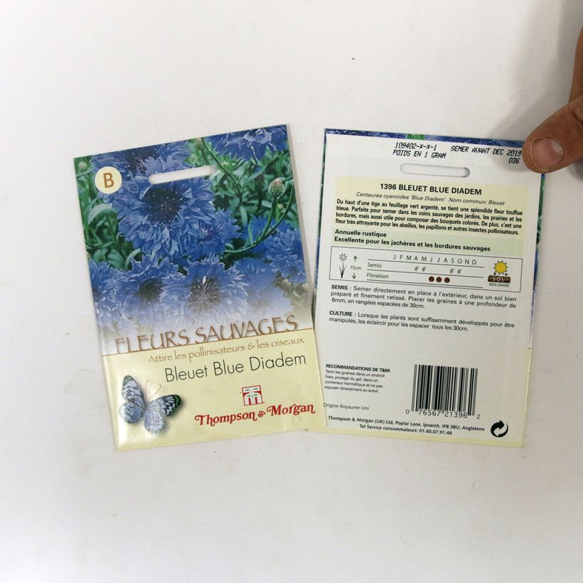 Example of Blue Diadem Cornflower - Centaurea cyanus seeds per pack of 200 seeds specimen as delivered
