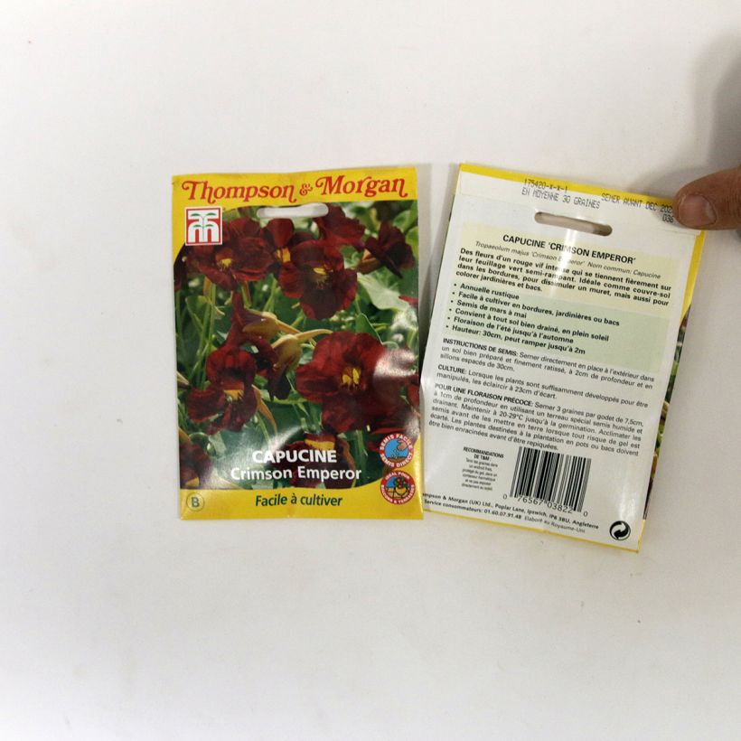 Example of Tropaeolum majus - Nasturtium Crimson Emperor Seeds specimen as delivered
