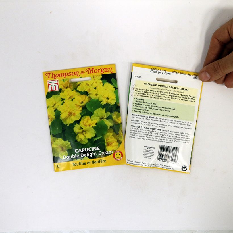 Example of Tropaeolum Double Delight Cream - Dwarf Nasturtium Seeds per pack of 3 seeds specimen as delivered