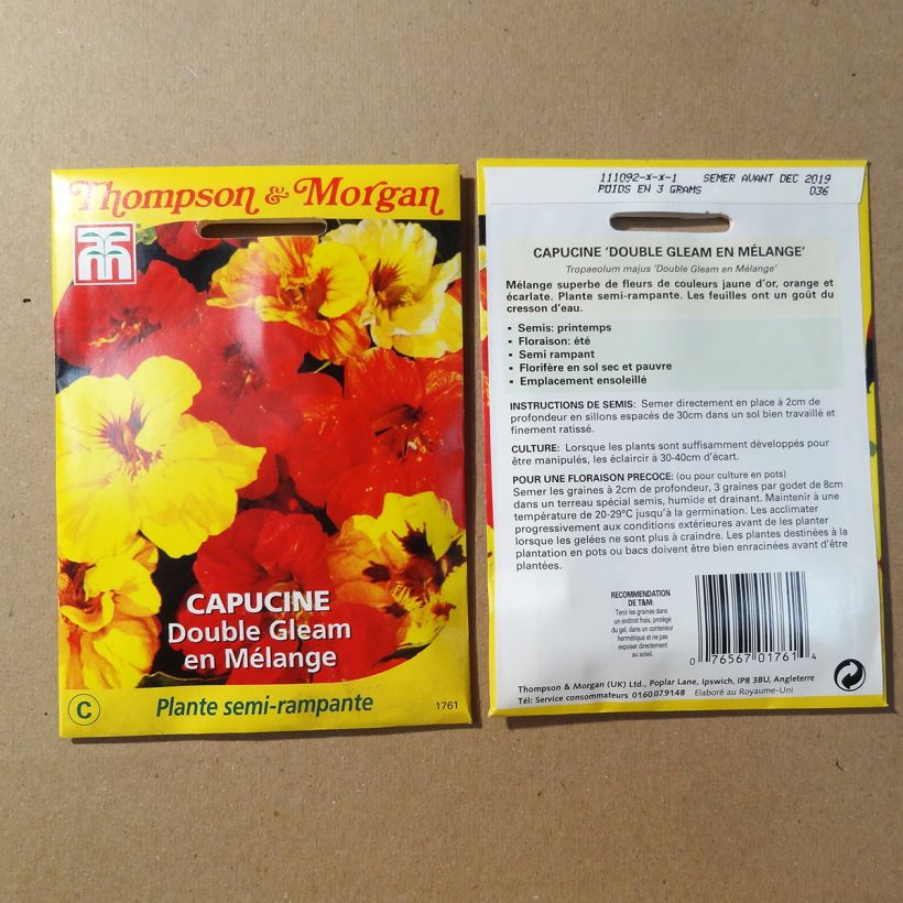 Example of Tropaeolum Double Gleam - Dwarf Nasturtium Seeds in Mix per pack of 30 seeds specimen as delivered
