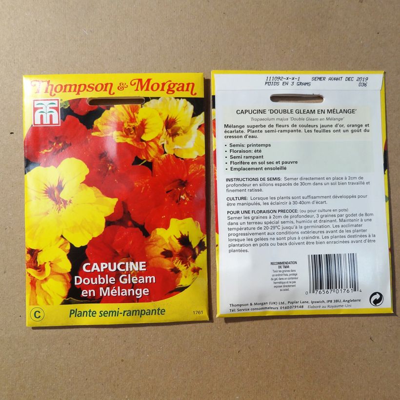 Example of Tropaeolum Double Gleam - Dwarf Nasturtium Seeds in Mix specimen as delivered