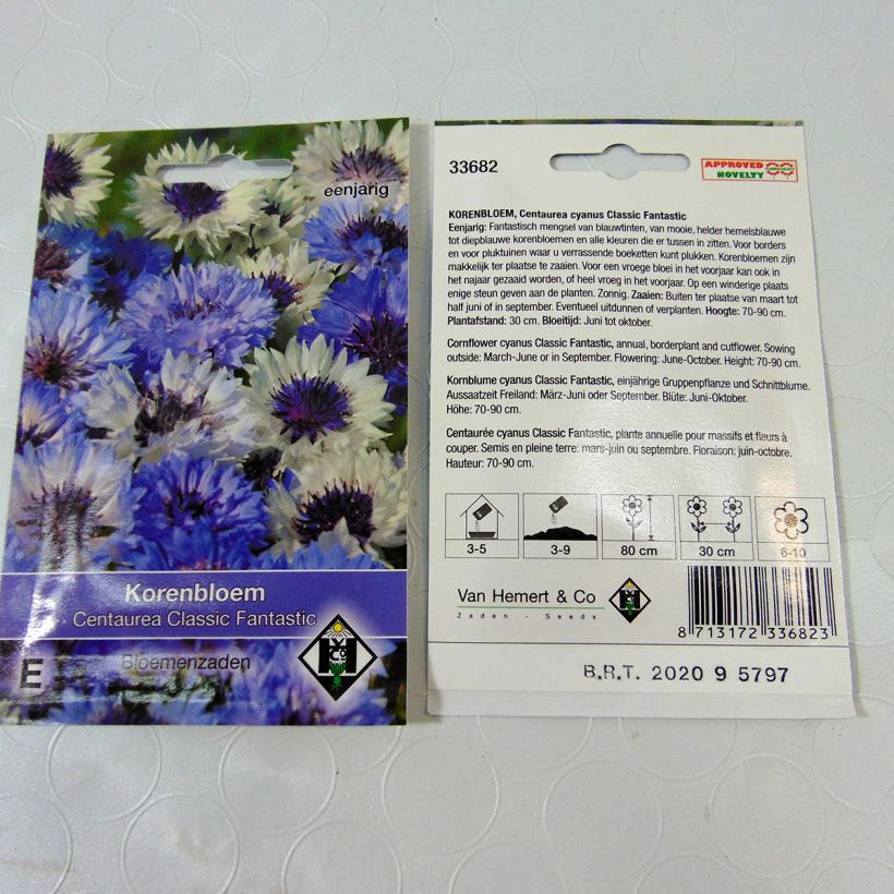 Example of Cornflower Classic Fantastic Seeds - Centaurea cyanus specimen as delivered
