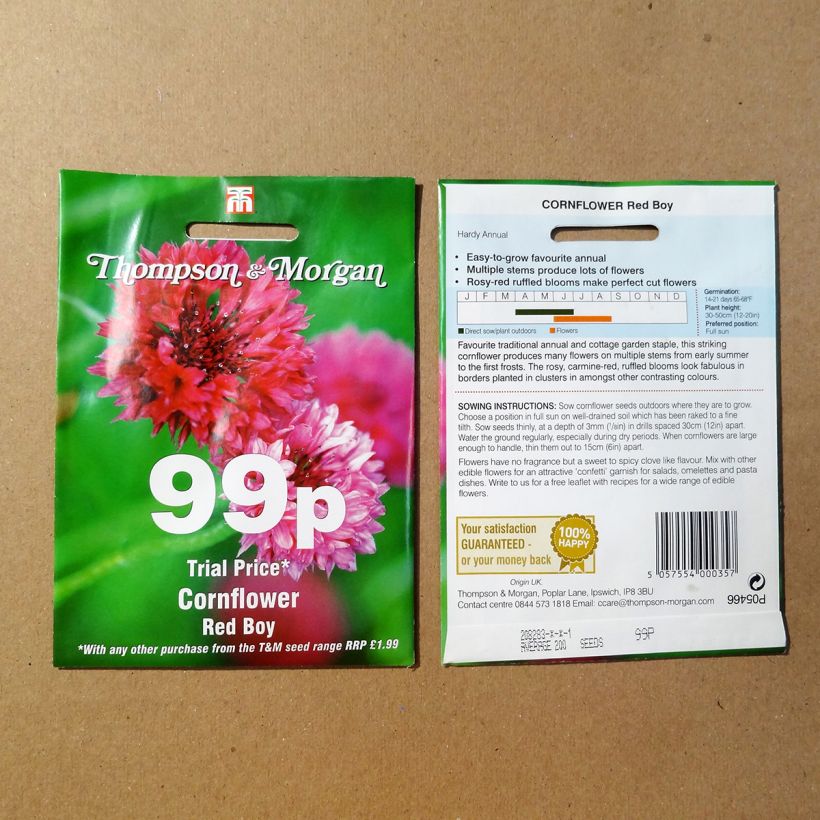 Example of Cornflower Red Boy Seeds - Centaurea cyanus specimen as delivered