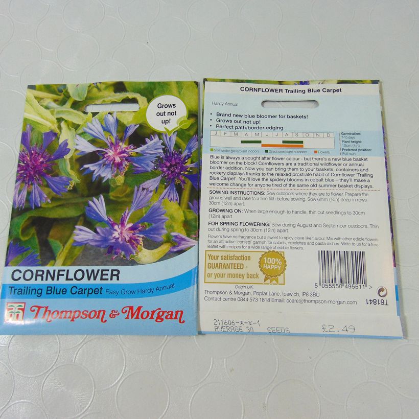 Example of Cornflower Trailing Blue Carpet Seeds - Centaurea cyanoides per pack of 30 seeds specimen as delivered