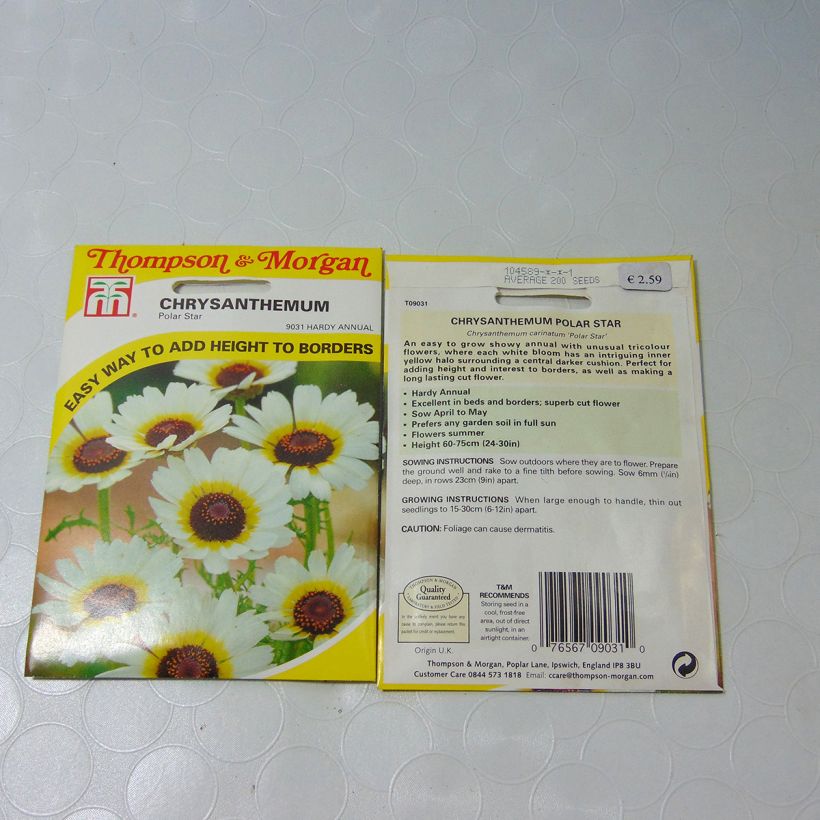 Example of Seeds of Polar Star keel Chrysanthemum - Chrysanthemum carinatum per pack of 300 seeds (1g) specimen as delivered
