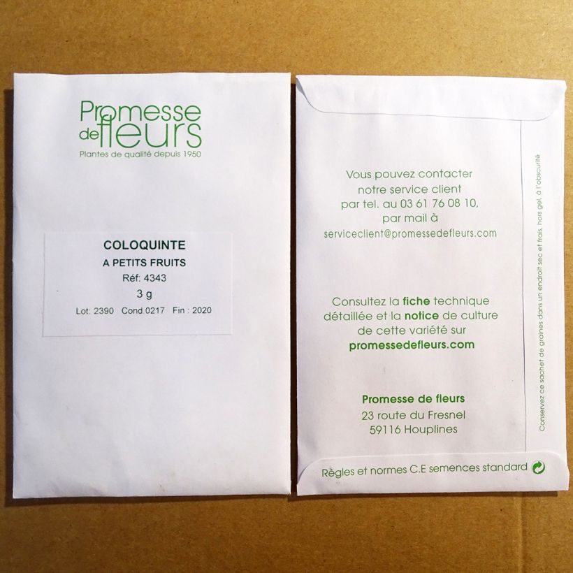 Example of Cucurbita pepo  per pack of 50 seeds (3g) specimen as delivered