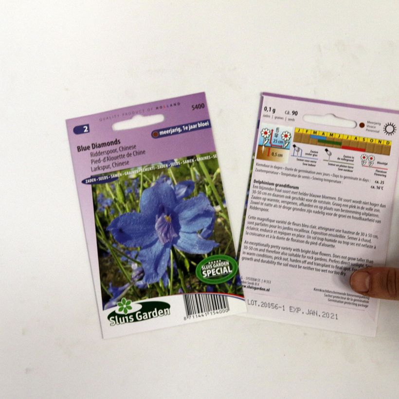 Example of Delphinium Blue Diamonds - Blue Chinese Larkspur seeds specimen as delivered