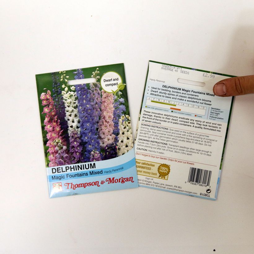 Example of DelphiniumMagic Fountain Mix Seeds - Perennial Larkspur specimen as delivered