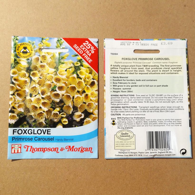 Example of Foxglove Primrose Carousel - Digitalis purpurea seeds per pack of 50 seeds specimen as delivered