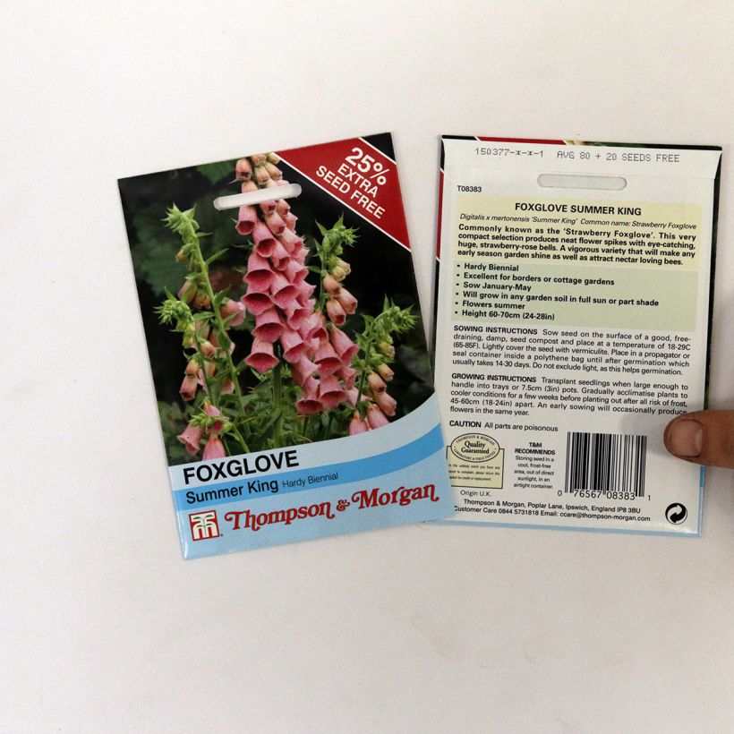 Example of Digitalis mertonensis Summer King Seeds - Foxglove specimen as delivered