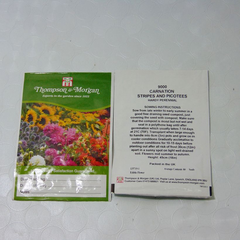 Example of Florists Carnation Stripes & Picotees Seeds - Dianthus caryophyllus specimen as delivered