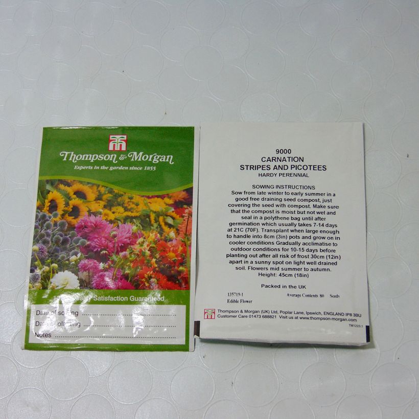Example of Florists Carnation Stripes & Picotees Seeds - Dianthus caryophyllus per pack of 80 seeds specimen as delivered
