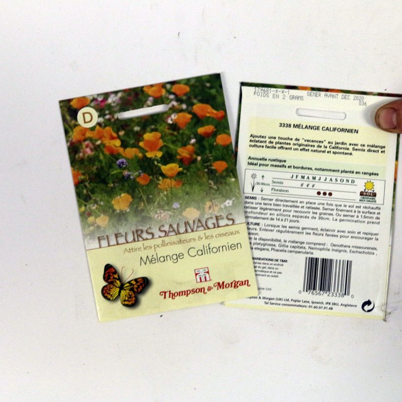 Example of Wildflower Seeds - Californian Mix per 2 g seed pack specimen as delivered