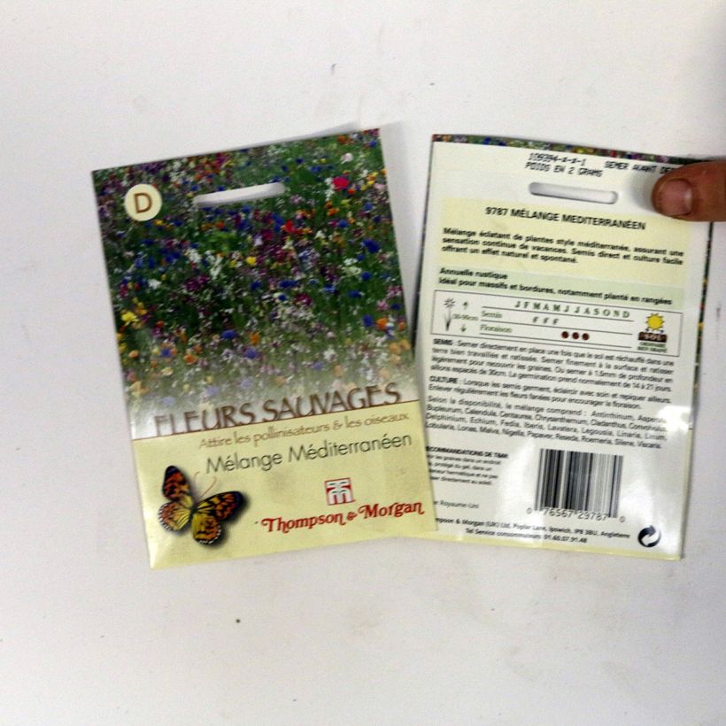 Example of Wildflowers - Mediterranean Mix - seeds specimen as delivered