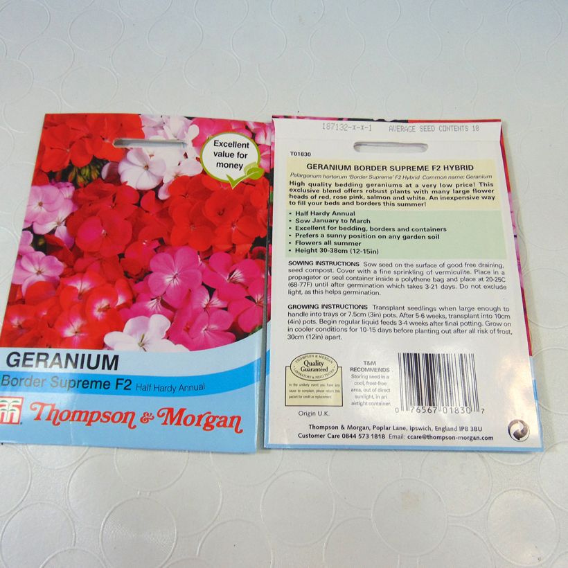Example of Pelargonium Border Supreme F2 Seeds - Geranium specimen as delivered