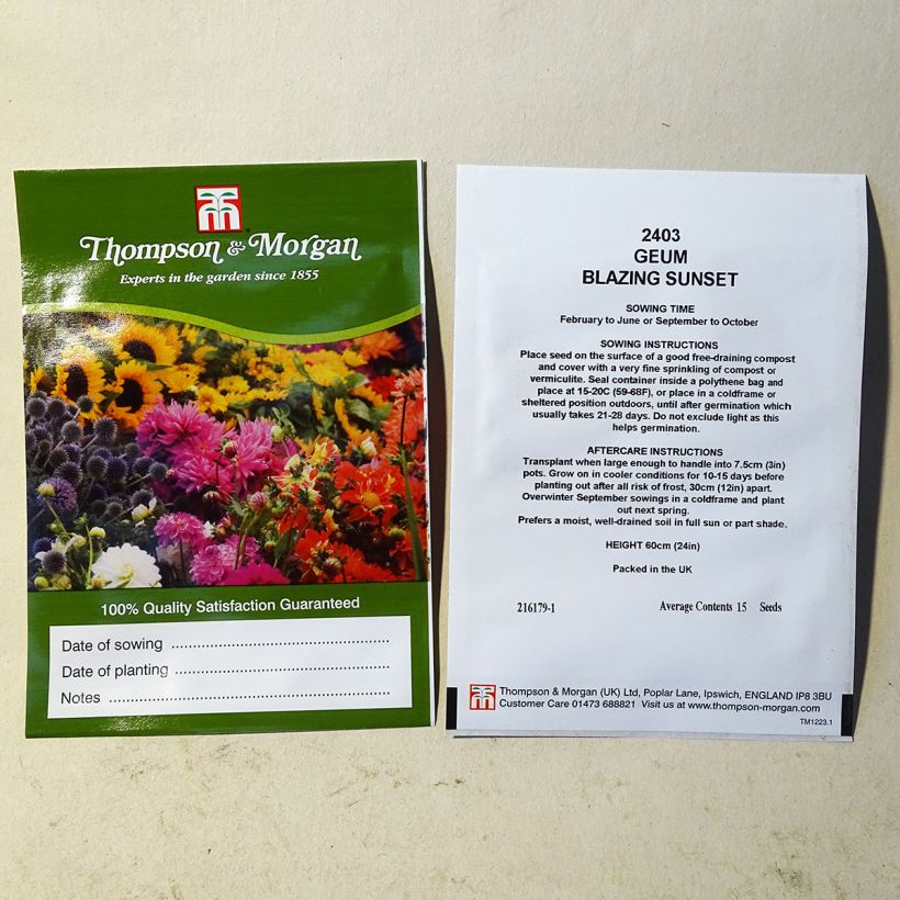 Example of Seeds of Geum Flora Pleno Blazing Sunset - Avens per pack of 15 seeds specimen as delivered