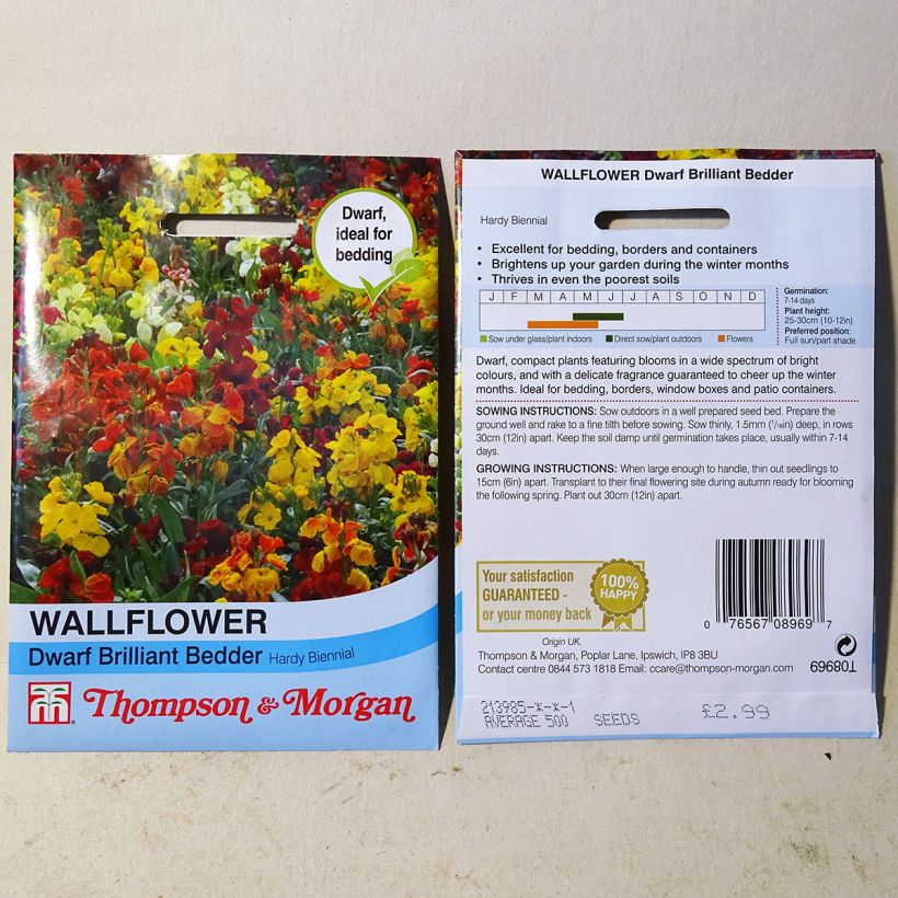 Example of Dwarf Wallflower Brilliant Bedder Series Mixed Seeds specimen as delivered