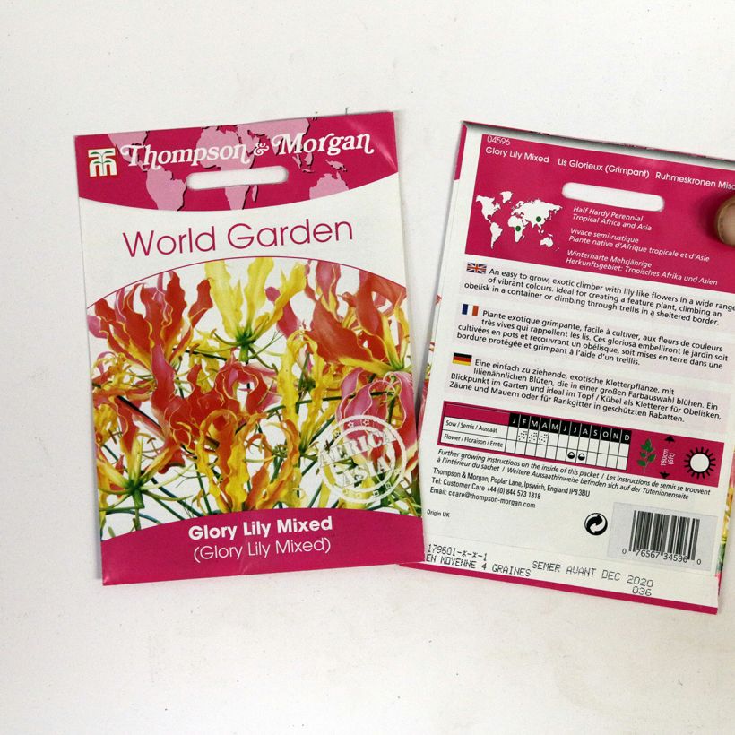 Example of Gloriosa superba Mix - Glory lily per pack of 6 seeds specimen as delivered
