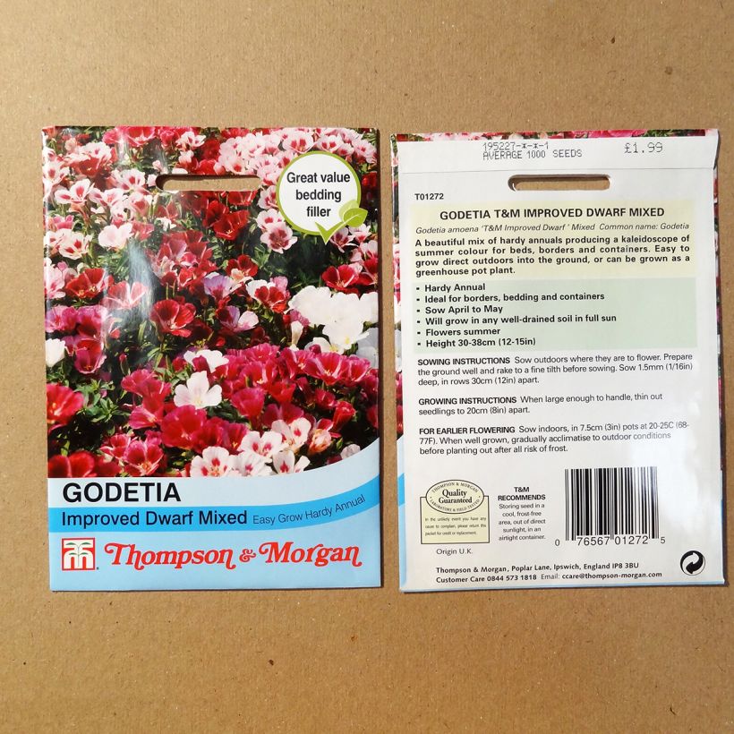 Example of Godetia Improved Dwarf Mix Seeds - Clarkia per pack of 1700 seeds (1g) specimen as delivered