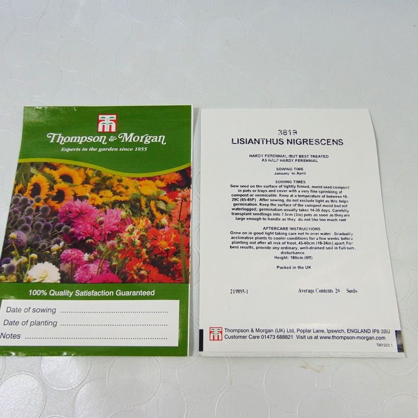 Example of Lisianthius nigrescens - Flor de muerto seeds per pack of 20 seeds specimen as delivered