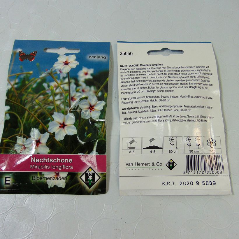 Example of Mirabilis longiflora - seeds specimen as delivered
