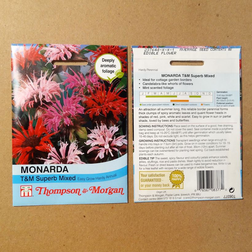 Example of Monarda didyma T&M Superb Mixed seeds - Bergamot specimen as delivered