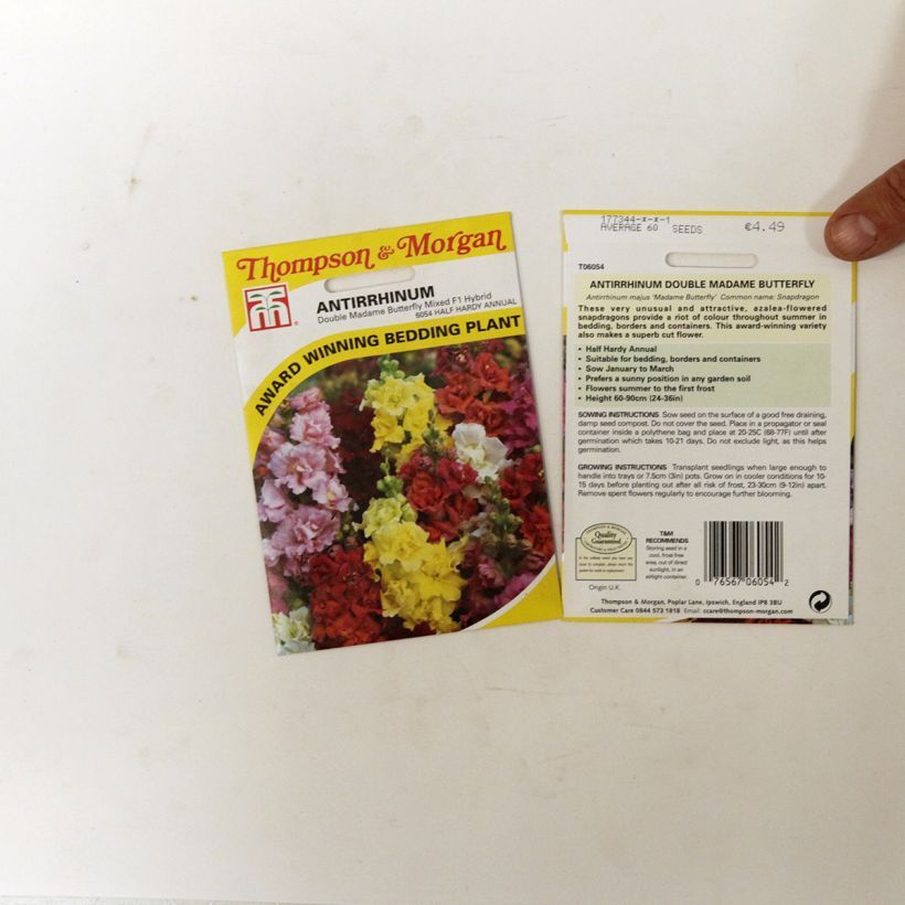 Example of Snapdragon Madame Butterfly Mixed Seeds - Antirrhinum majus specimen as delivered