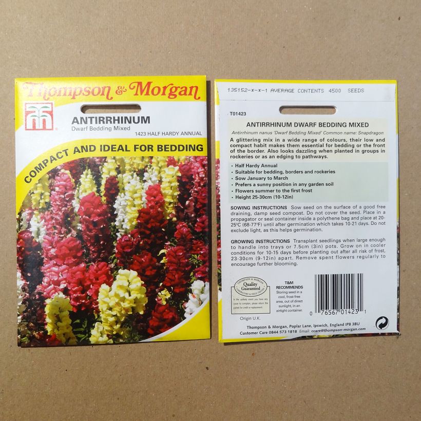 Example of Snapdragon Dwarf Bedding Mixed Seeds - Antirrhinum nanum per pack of 4500 seeds specimen as delivered