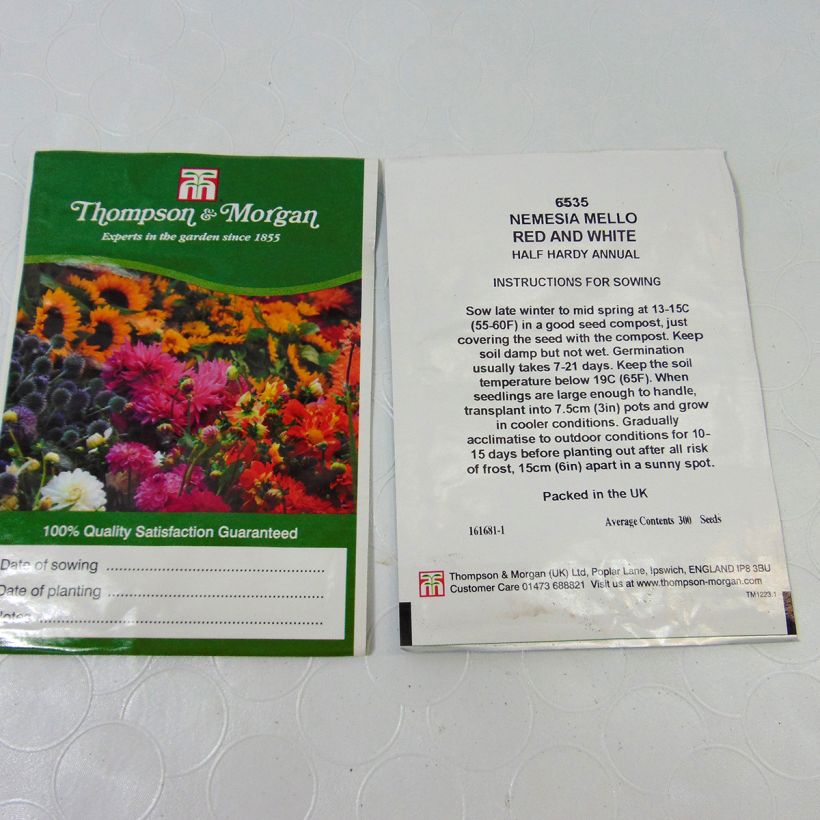 Example of Nemesia Mello Red & White - seeds per pack of 850 seeds (0,2g) specimen as delivered