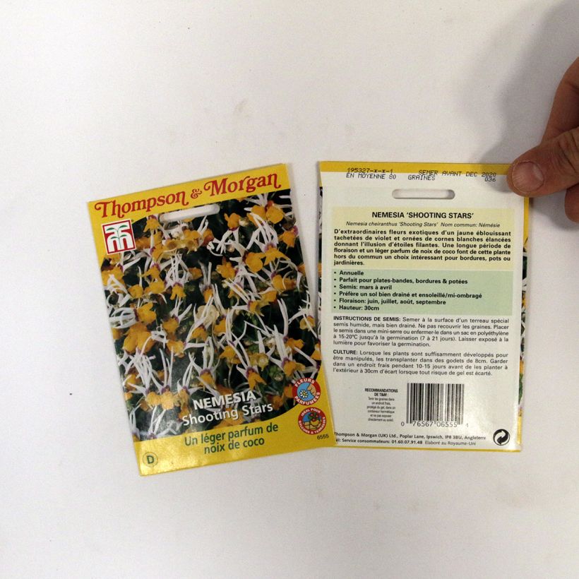 Example of Nemesia cheiranthus Shooting Stars Seeds - Long-Eared Nemesia per 0.012 g seed pack specimen as delivered