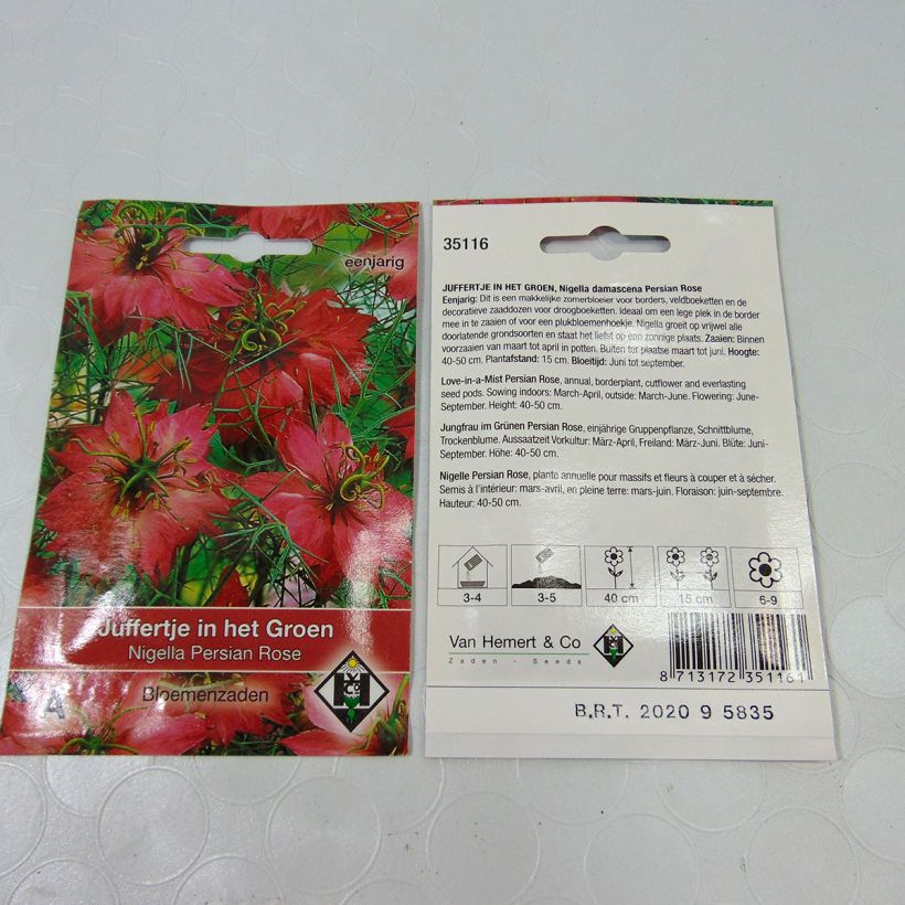 Example of Love-in-a-mist Persian Rose Seeds - Nigella damascena specimen as delivered
