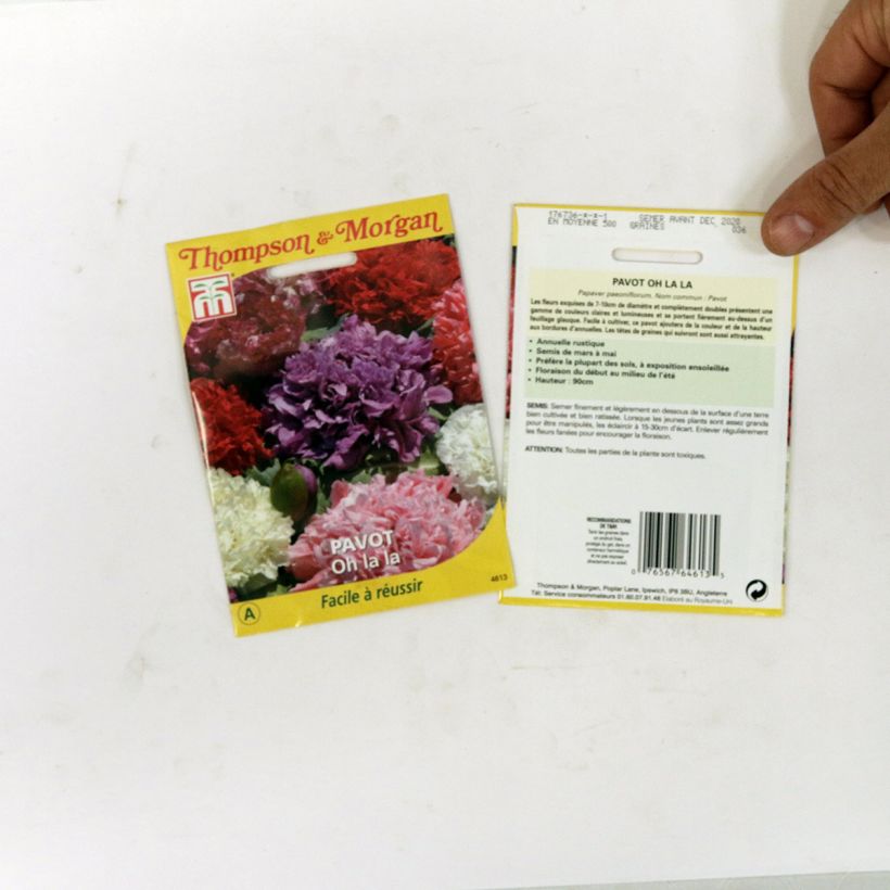 Example of Opium Poppy Ooh la la Seeds - Pavaver somniferum specimen as delivered