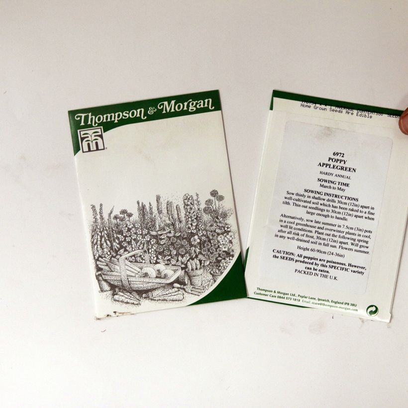 Example of Papaver somniferum Applegreen per pack of 80 seeds specimen as delivered