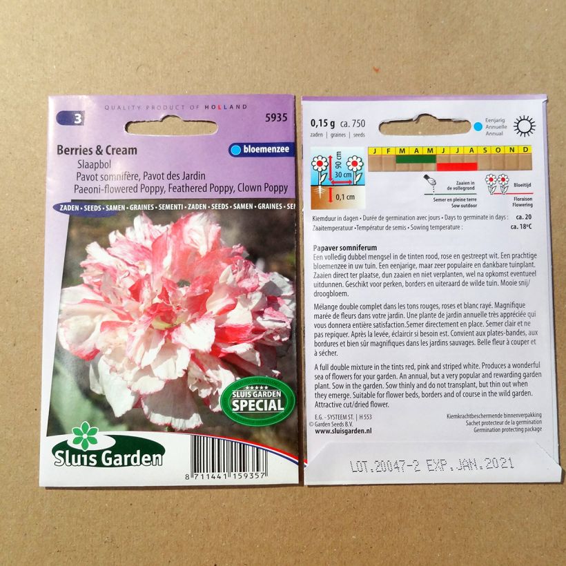 Example of Opium Poppy Berries & Cream Seeds - Papaver somniferum specimen as delivered