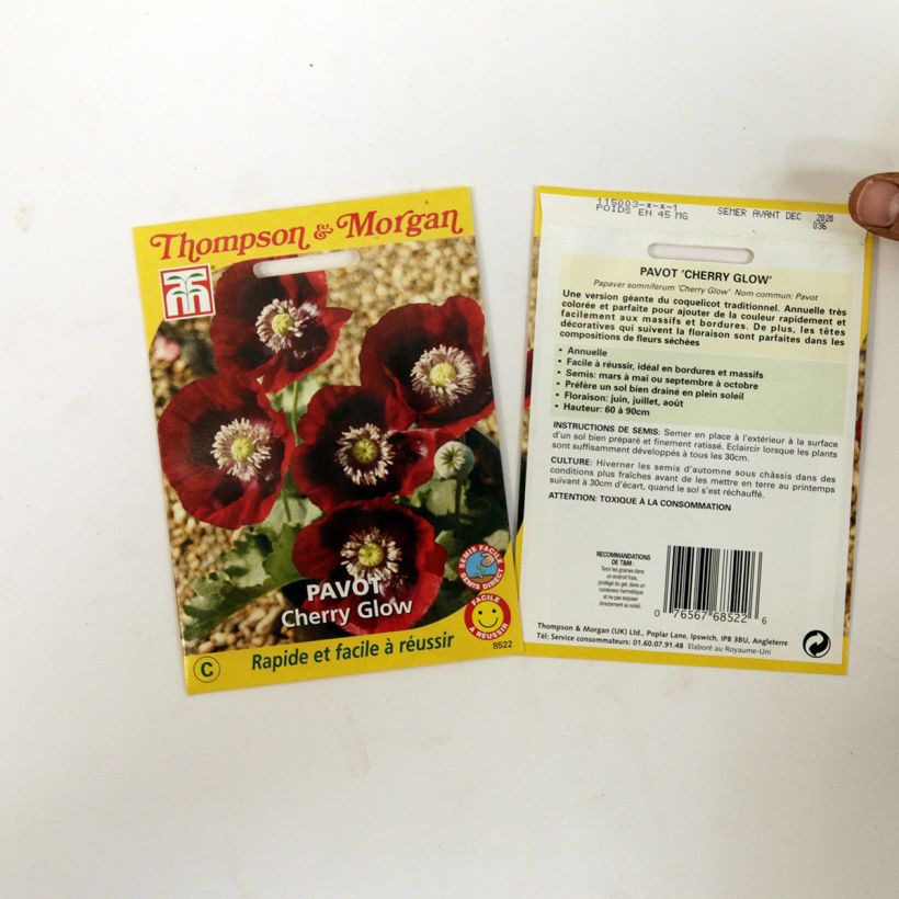 Example of Opium Poppy Cherry Glow Seeds - Papaver somniferum per pack of 200 seeds specimen as delivered