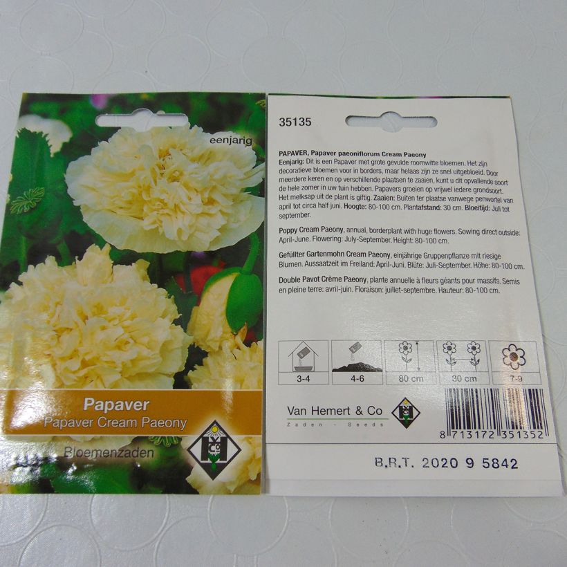 Example of Opium Poppy Cream Peony Seeds - Papaver somniferum specimen as delivered