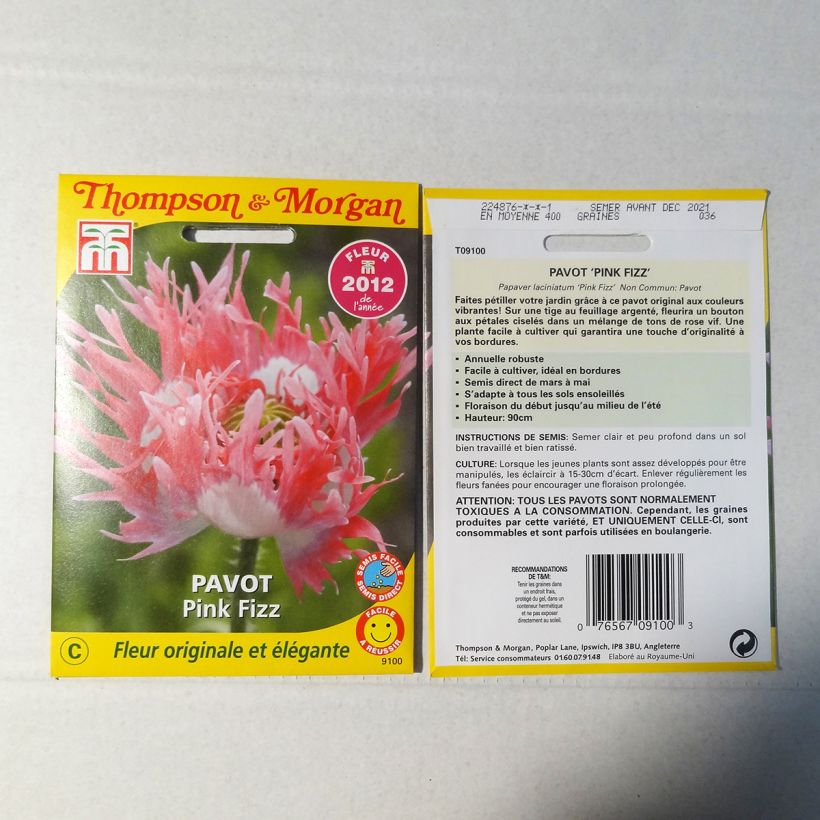 Example of Opium Poppy Pink Fizz Seeds - Papaver somniferum per pack of 500 seeds specimen as delivered