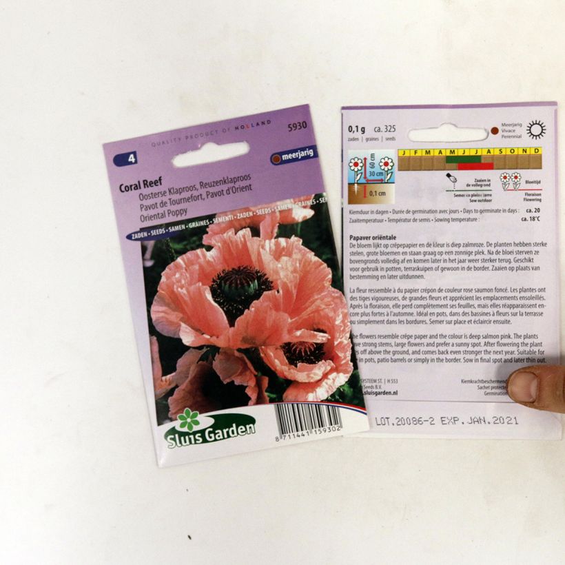 Example of Papaver orientale Coral Reef - Oriental Poppy Seeds specimen as delivered