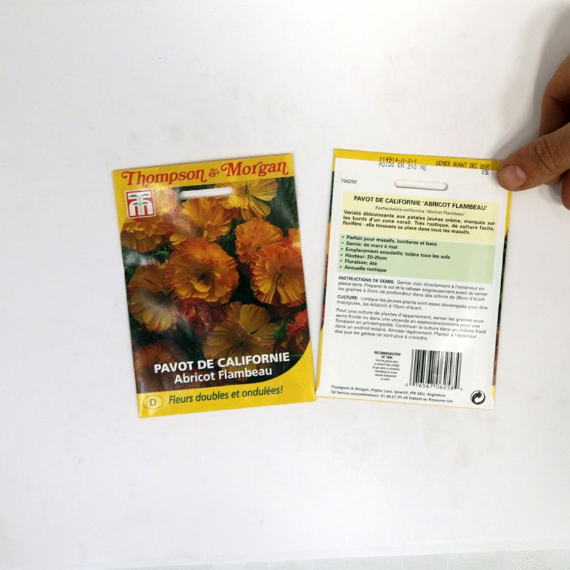 Example of California Poppy Apricot Flambeau Seeds - Eschscholzia californica per 0.2 g seed pack specimen as delivered