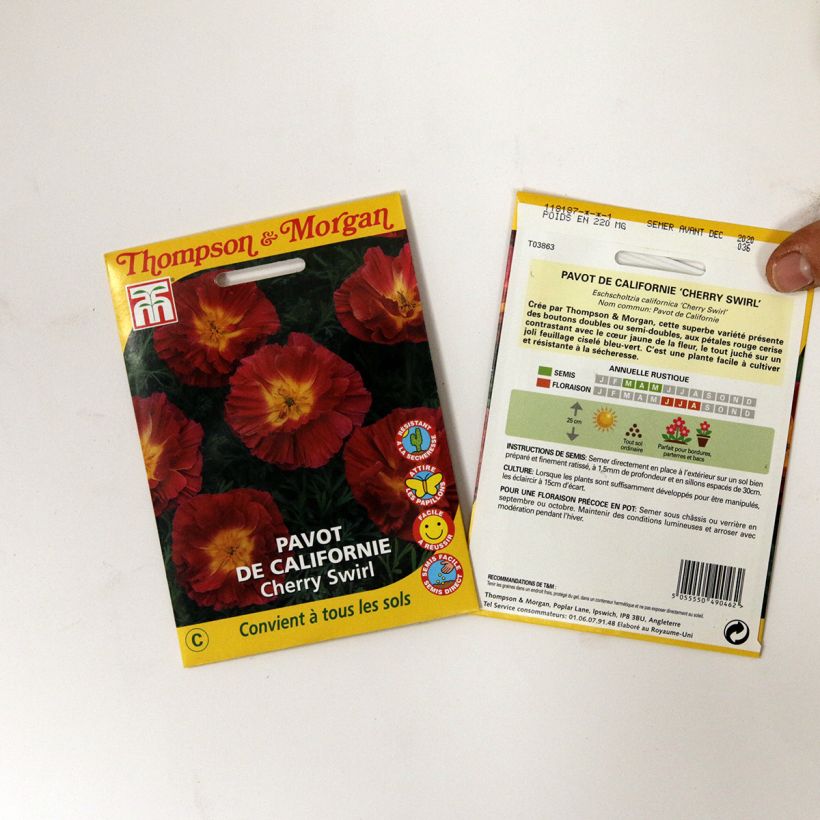 Example of California Poppy Cherry Swirl Seeds - Eschscholzia californica per pack of 250 seeds (0,3g) specimen as delivered