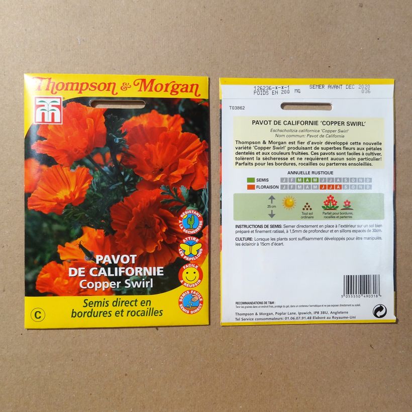 Example of California Poppy Copper Swirl Seeds - Eschscholzia californica specimen as delivered
