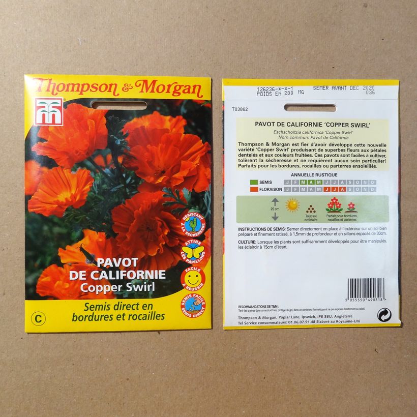 Example of California Poppy Copper Swirl Seeds - Eschscholzia californica per pack of 150 seeds (0.15g) specimen as delivered